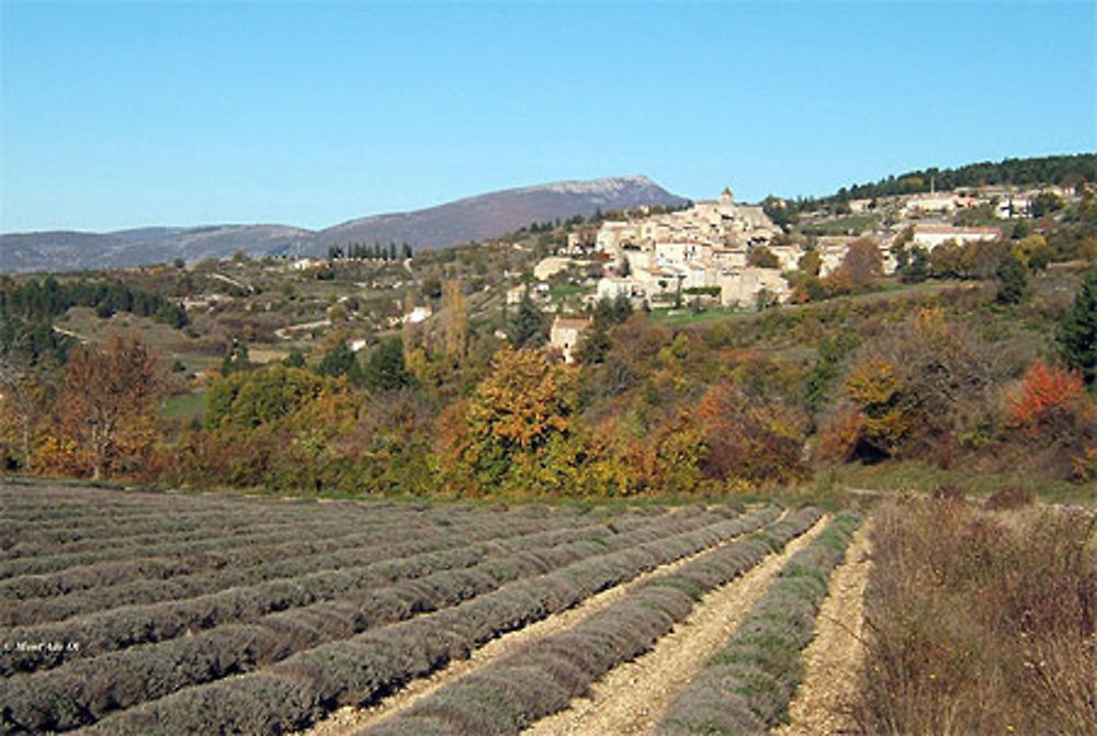 Aurel (84) et Montagne du Buc