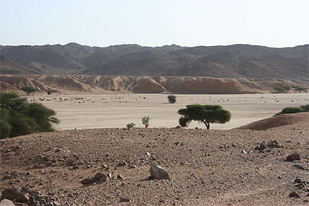 Algérie - Hoggar - Oued Tamekrest Algérie - Hoggar - Oued Tamekrest
