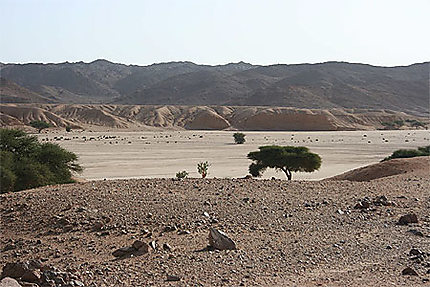 Algérie - Hoggar - Oued Tamekrest