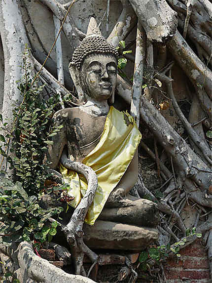 Statue bouddha