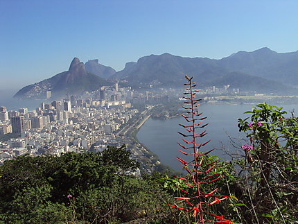 Randonnées à Rio