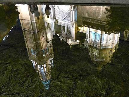Reflets de la cathédrale allumée