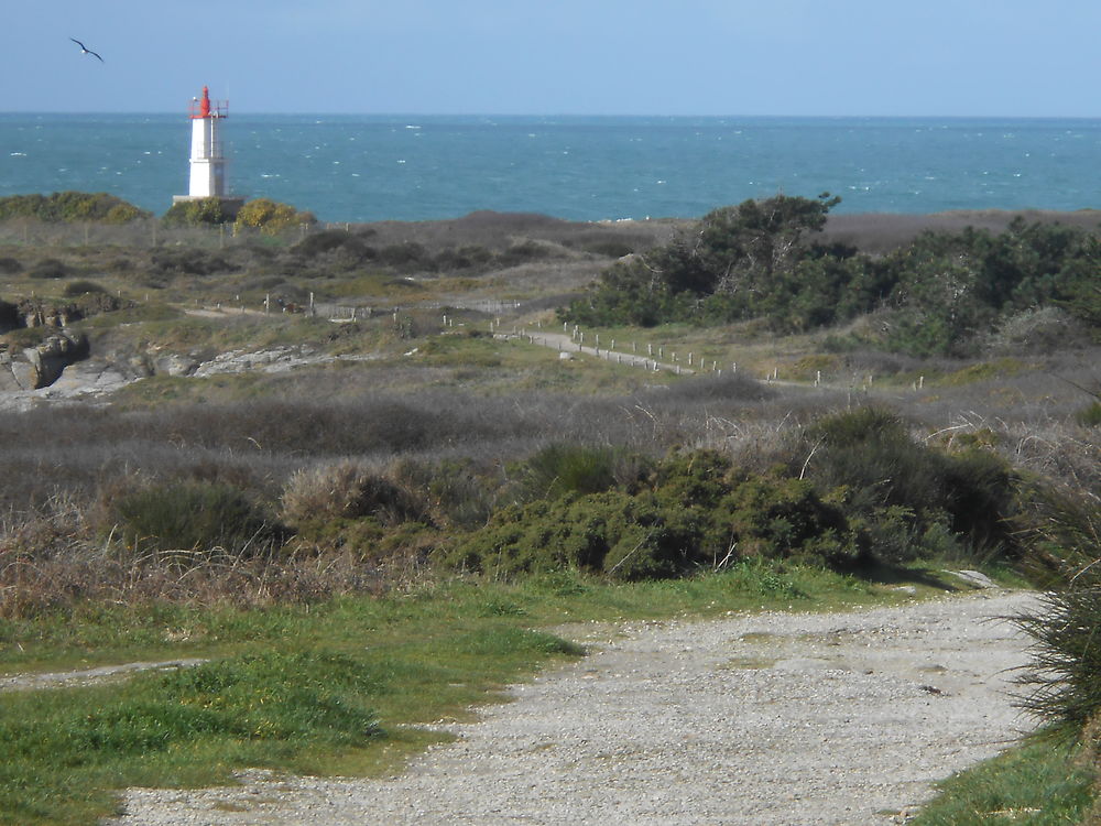 La route du phare