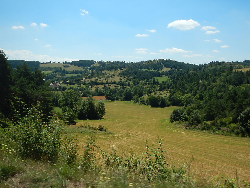 Paysage du causse de Sauveterre