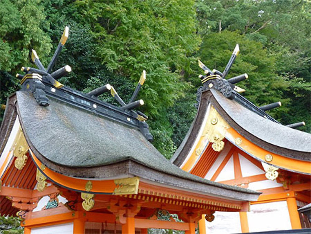 Nachi taisha kumano