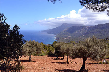 La côte de Deia La côte de Deia