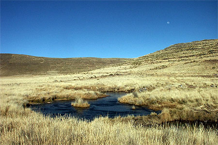 Puna Sèche Puna Sèche