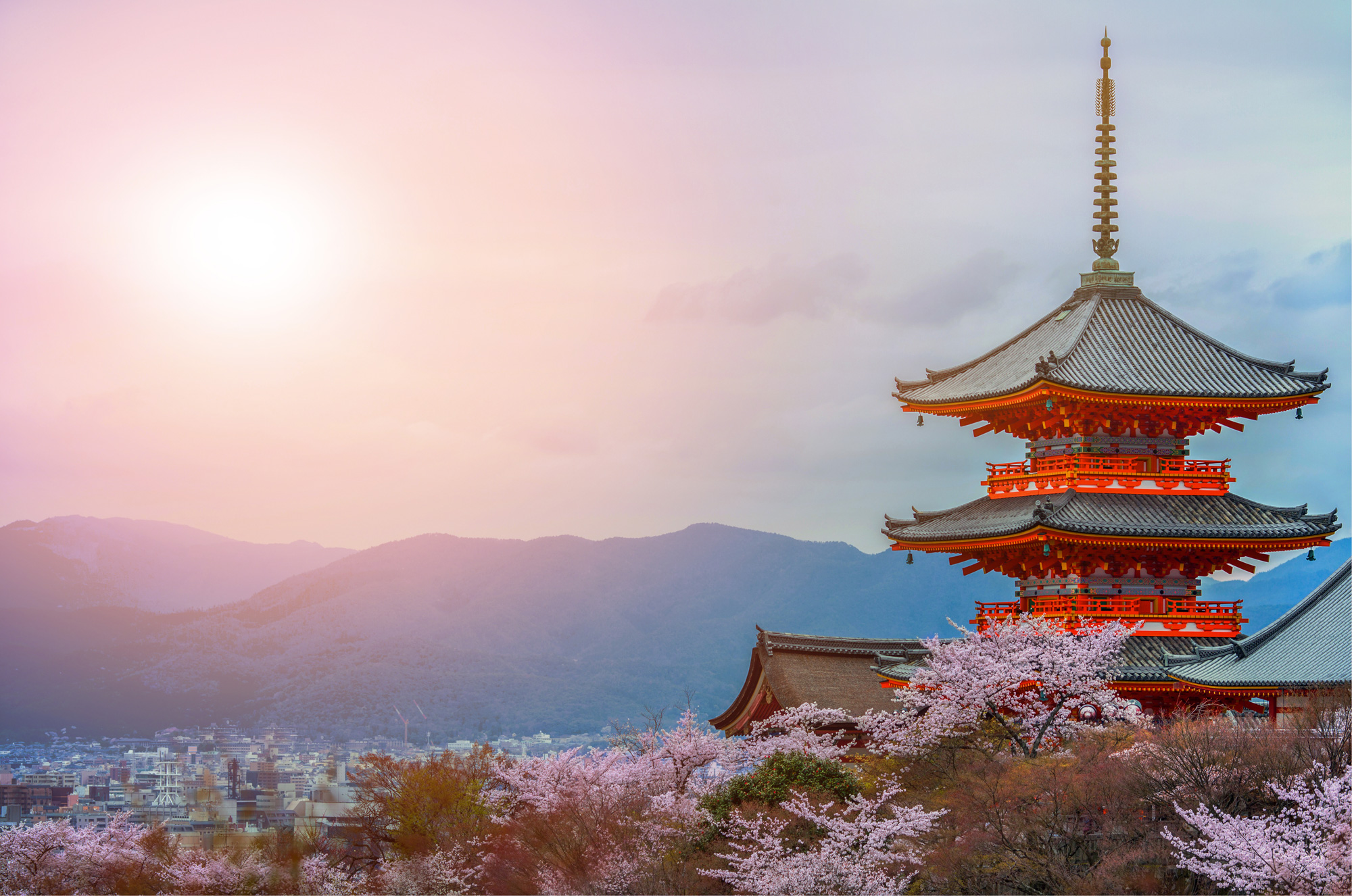 Guide du Routard Tokyo-Kyoto 2020: et environs + Osaka et Hiroshima : Japon pas cher ! Le Routard 