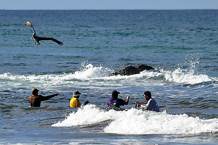 Pêcheur à la corne