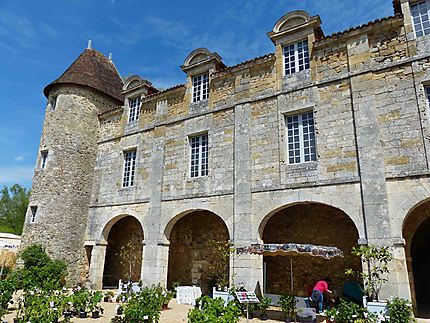 Saint-Pierre de Côle - Château