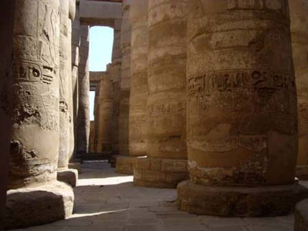 Colonnes du Temple de Louxor