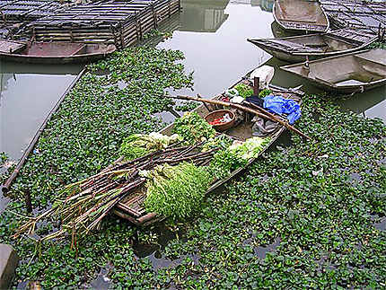 Retour du marché flottant à Kenh Ga