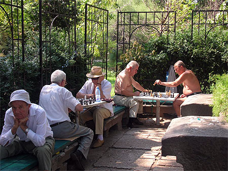 Joueurs d'échecs Joueurs d'échecs