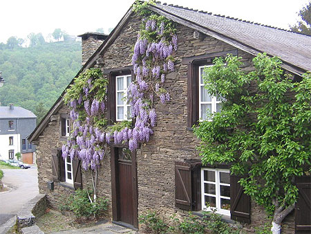 Jolie maison à Rochehaut Jolie maison à Rochehaut