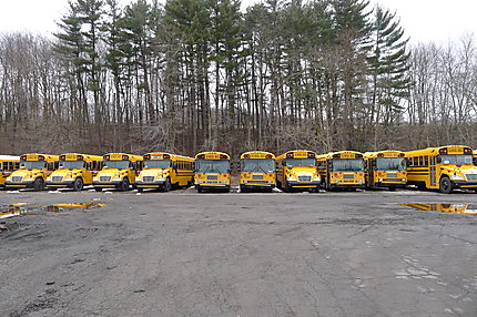 School buses