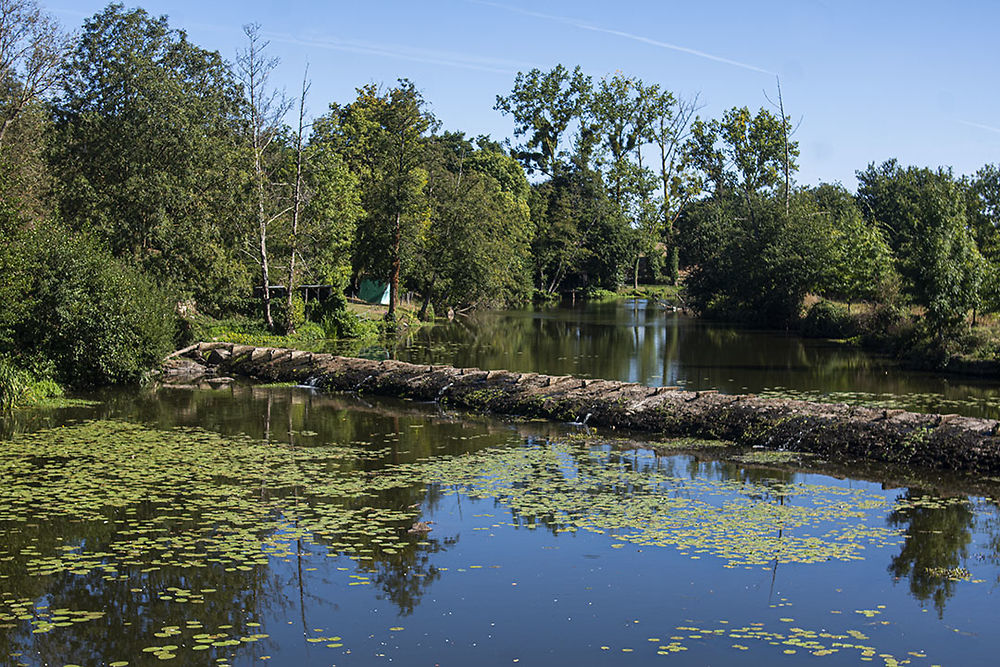 Le Thouet à Gourgé