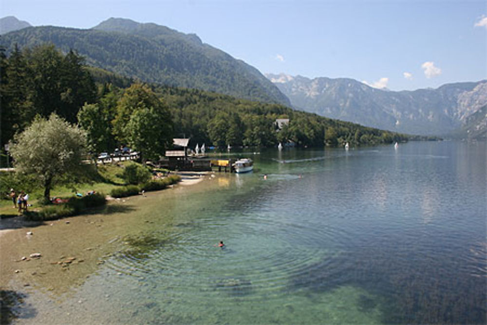 Baignade dans le lac de Bohinj