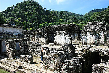 Les ruines de Palenque