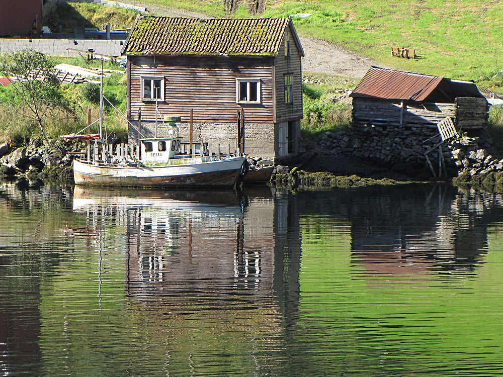 Paysage sur le Naeroyfjorden