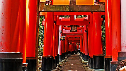 Kyoto Fushimi Inari-taisha
