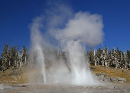 Yellowstone - Grand Geyser - Vent Geyser