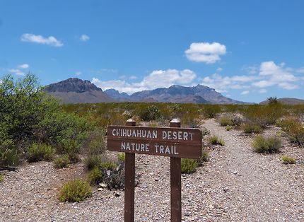 Chihuahuan Trail sous la chaleur
