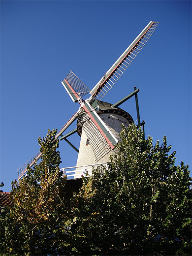 Moulin Moulin