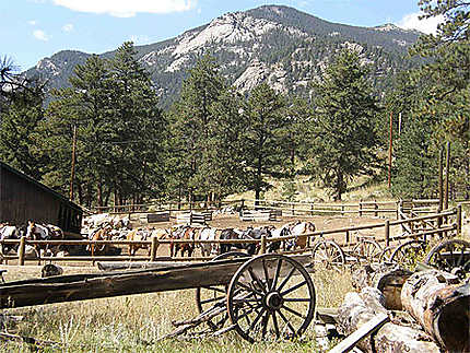 Ranch et Montagnes