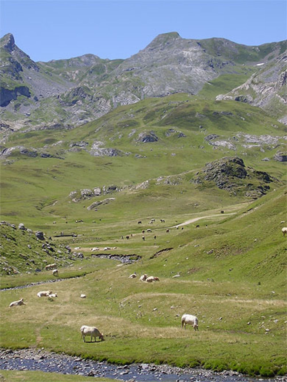 Col du pourtalet