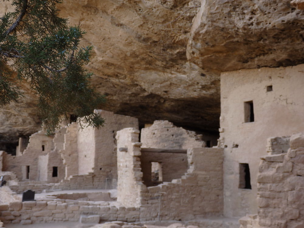 Mesa Verde