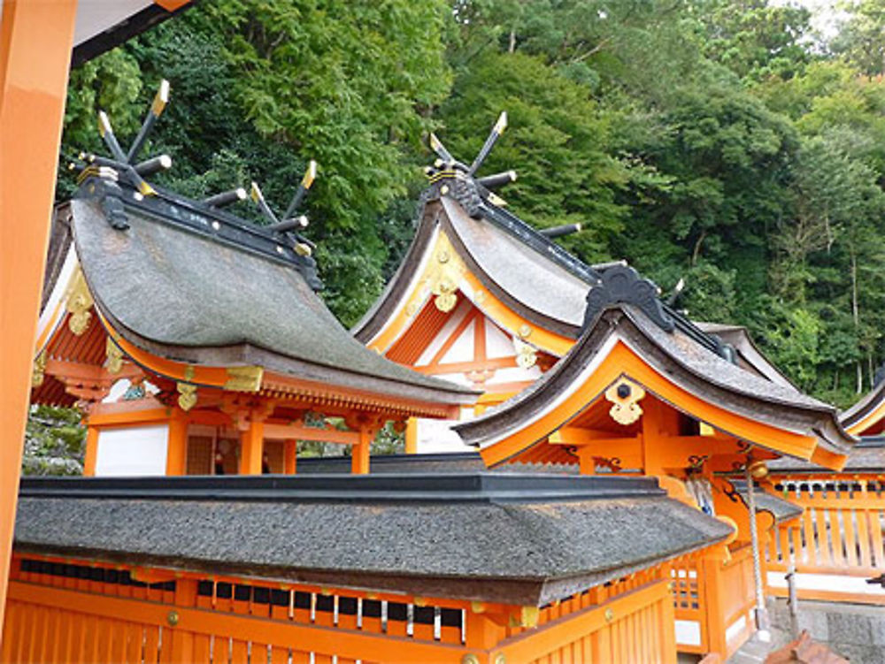 Kumano taisha