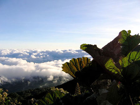 Mer de nuage sur le volcan Turrialba Mer de nuage sur le volcan Turrialba