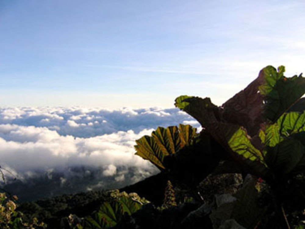 Mer de nuage sur le volcan Turrialba  