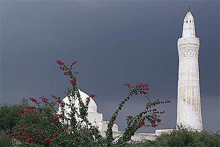 Zabid : mosquée al-Iskandaria