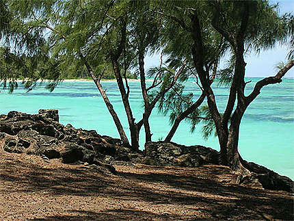 Ile aux Cerfs