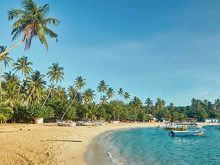 Sri Lanka : un enchantement tropical à explorer !