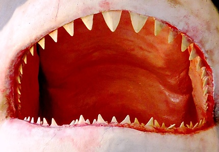 Les dents de la mer