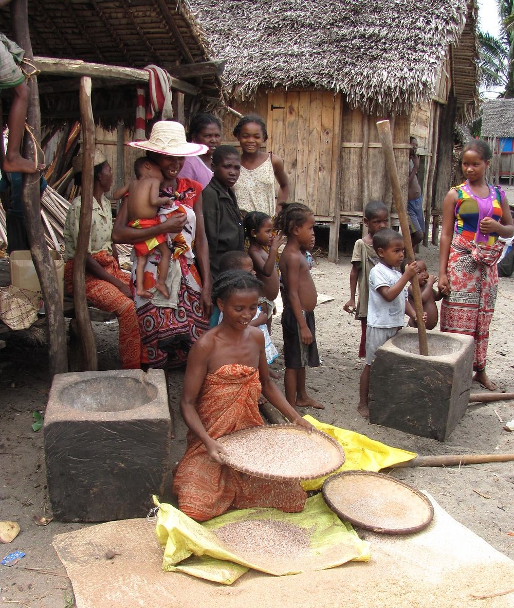 Vannage du riz à Ambohitsara