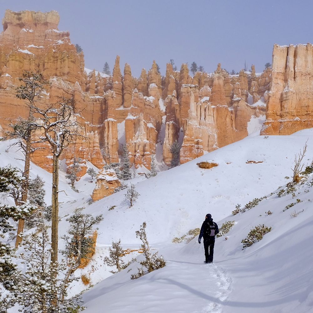 Bryce Canyon 