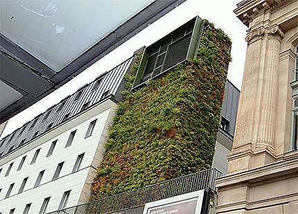 Jardin mural de la Gare du Nord