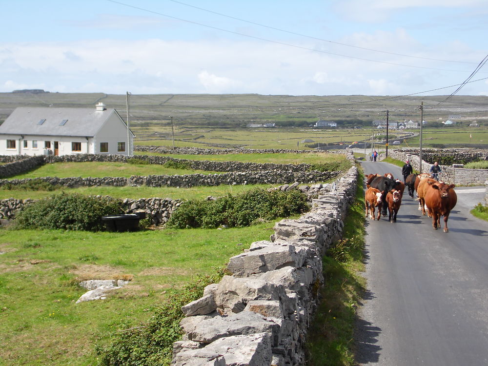 Sur les routes d'Inis Mór, en Irlande