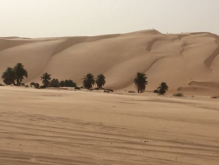 Azoueiga en Adrar, Mauritanie