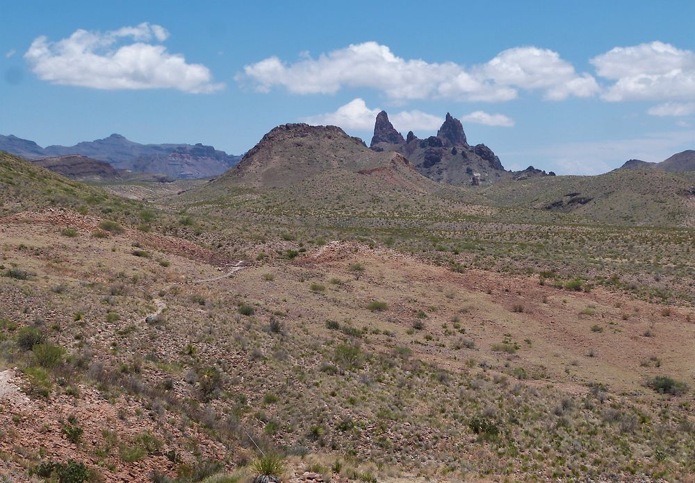 Le trail des oreilles d'ânes