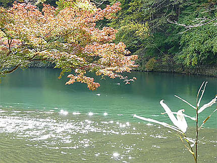 Arashimyama gorges en automne