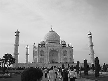 La Taj en black and white