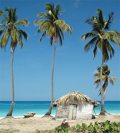 Petit coin de Paradis ... Petit coin de Paradis ...