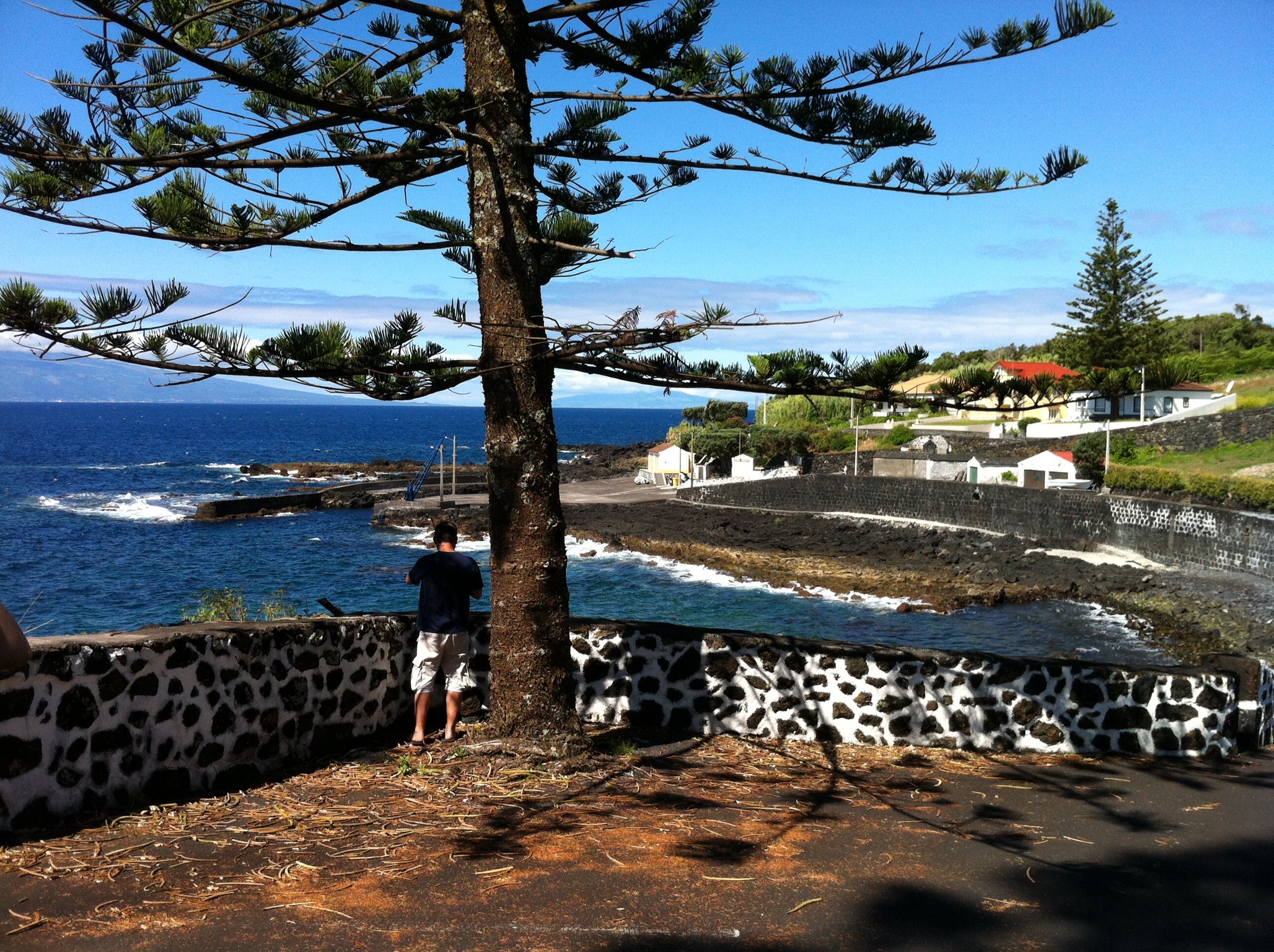 Sao jorge Sao jorge