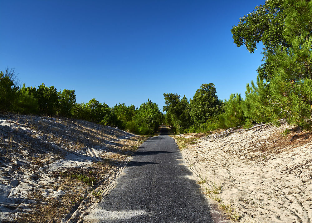 Road Trip à Vélo !