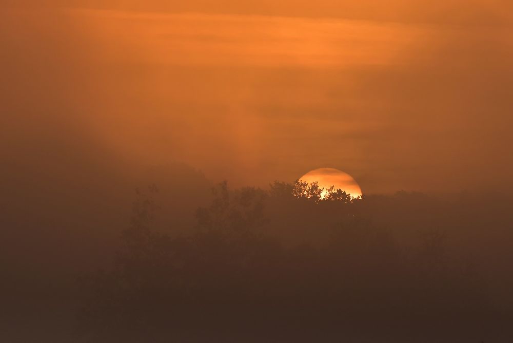 Lever du soleil dans le brouillard