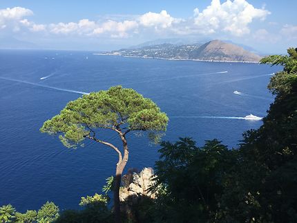 Capri: penisola di Surriento